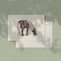 Naturtölter Postkarte "Reynir grasen"